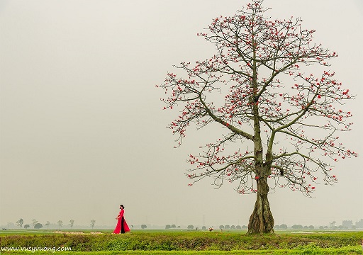 Hưng Yên