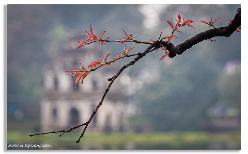 Hồ Gươm, Hà Nội