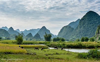 Trùng Khánh, Cao Bằng