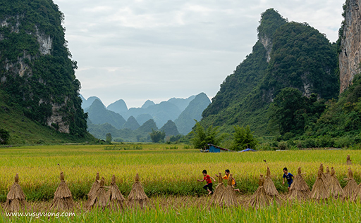 Trùng Khánh, Cao Bằng