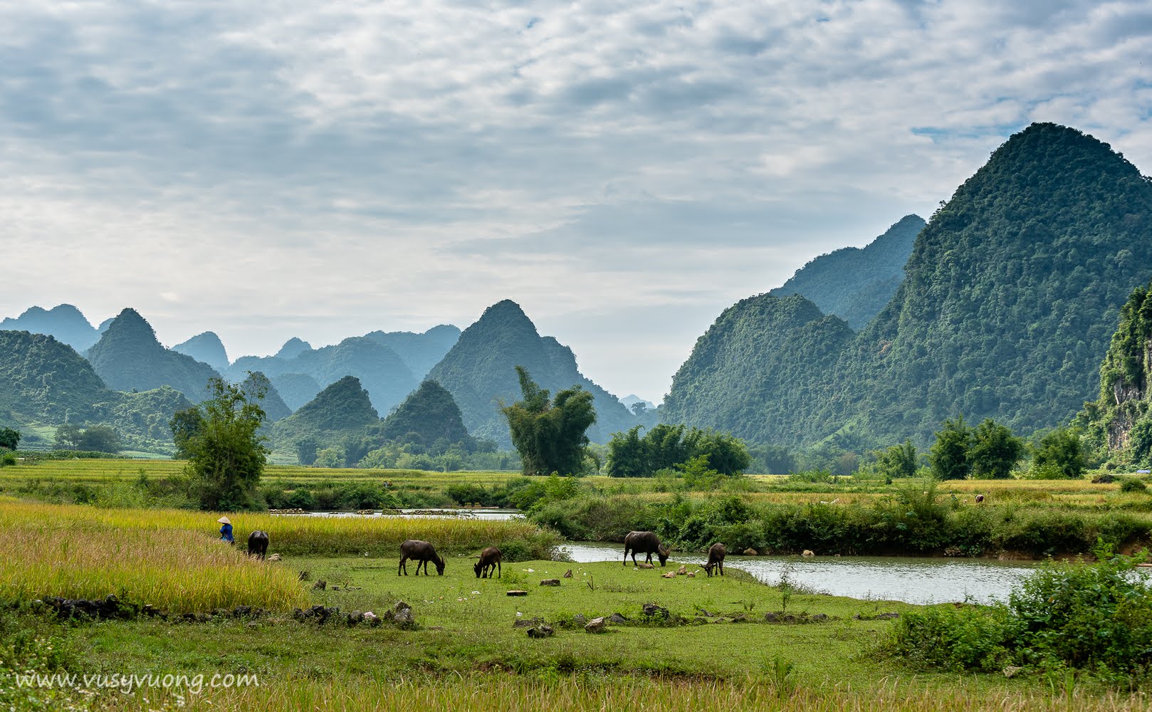 Trùng Khánh, Cao Bằng