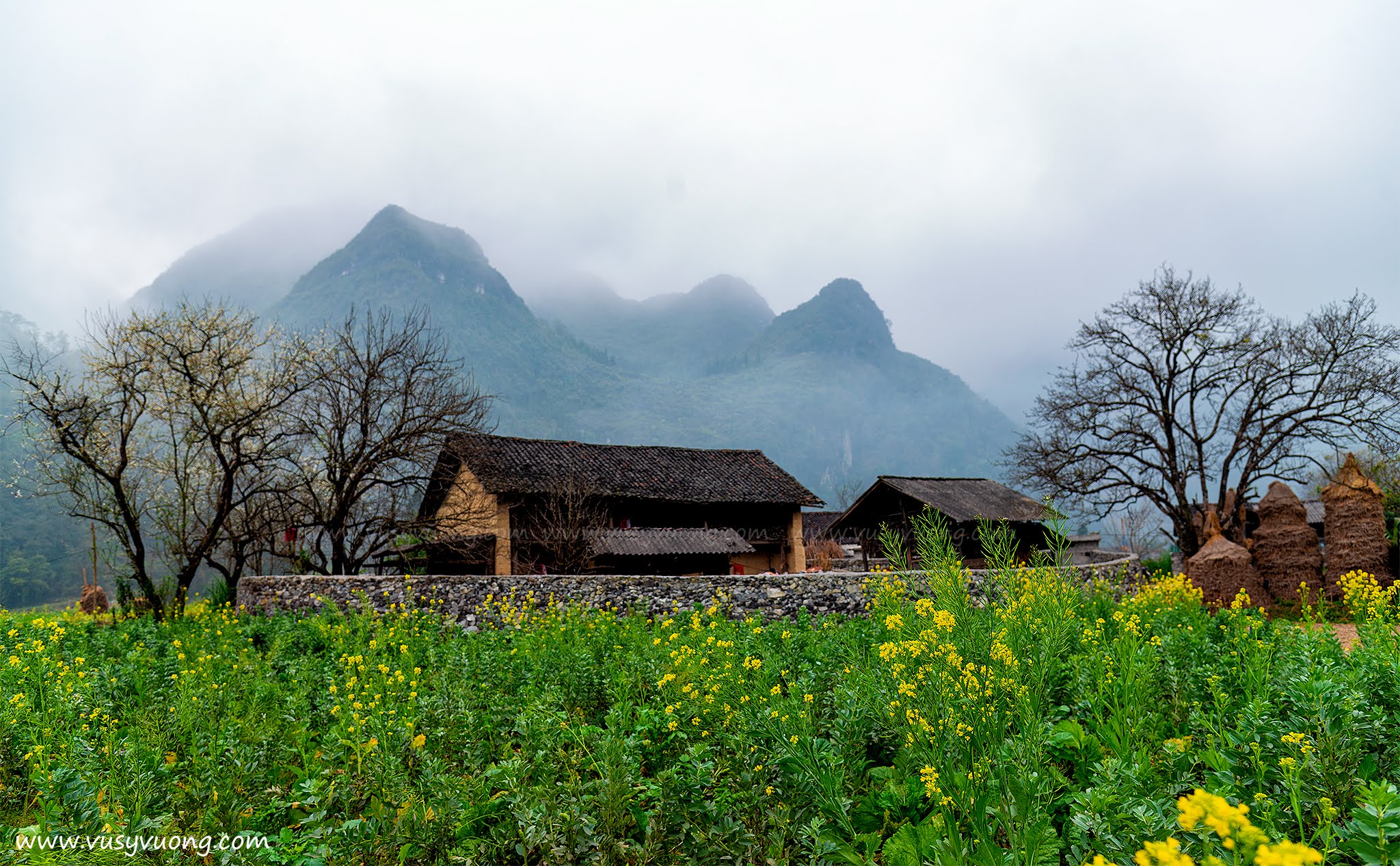 Phố Cáo, Đồng Văn, Hà Giang