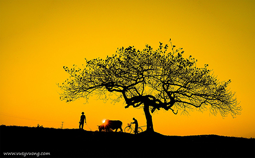 Thạch Thất, Hà Nội