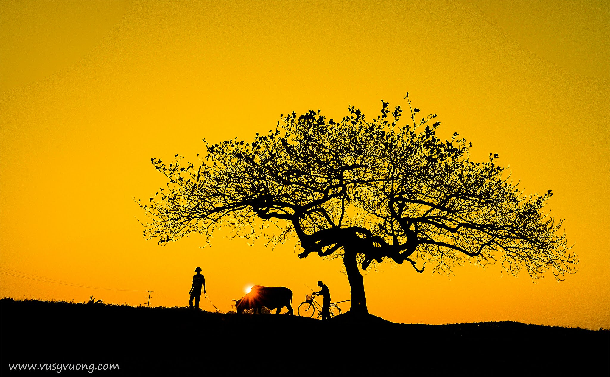 Thạch Thất, Hà Nội