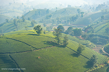 Long Cốc, Tân Sơn, Phú Thọ