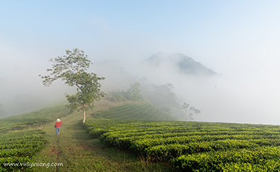 Long Cốc, Tân Sơn, Phú Thọ
