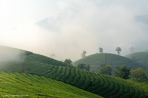 Long Cốc, Tân Sơn, Phú Thọ