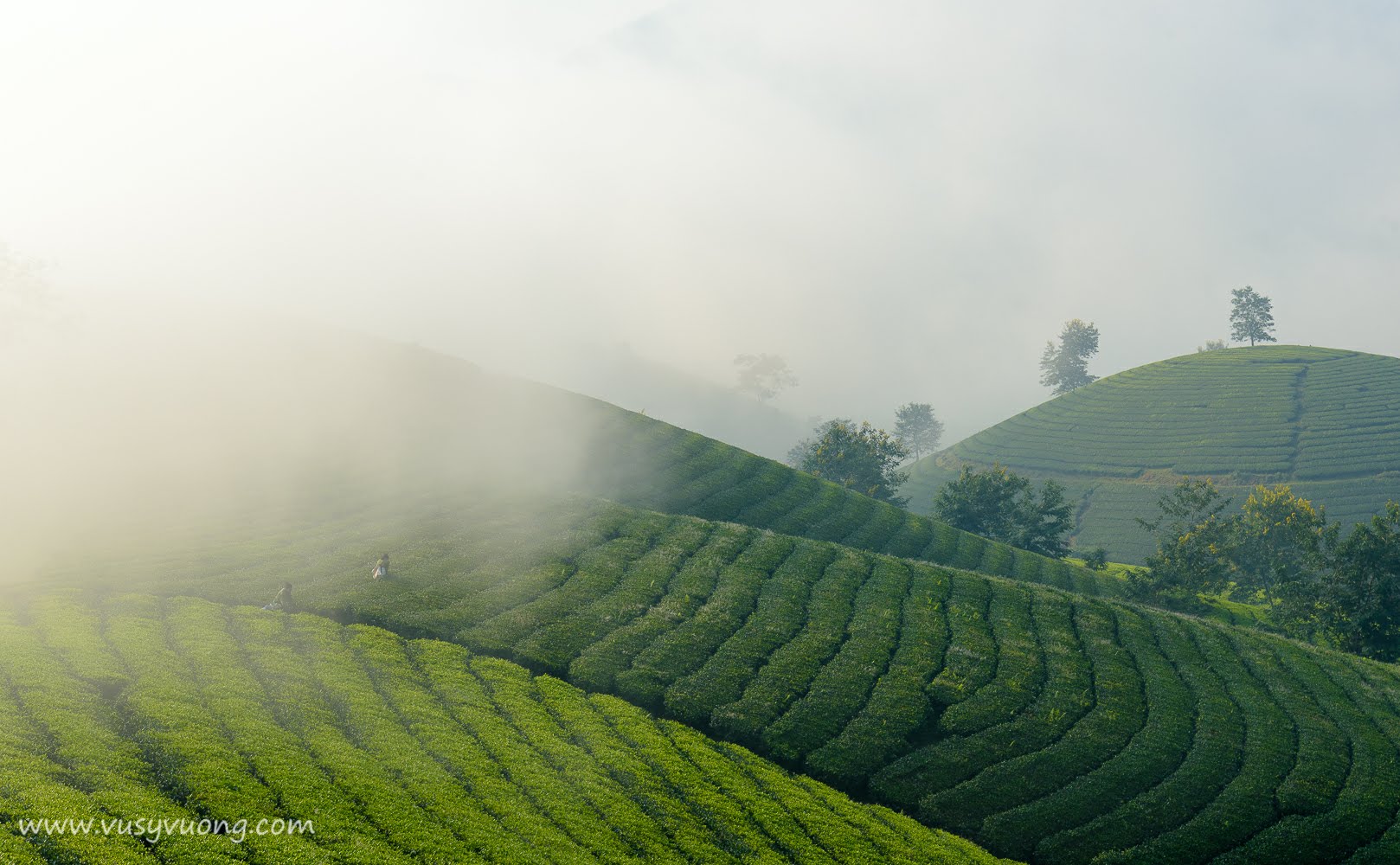 Long Cốc, Tân Sơn Phú Thọ