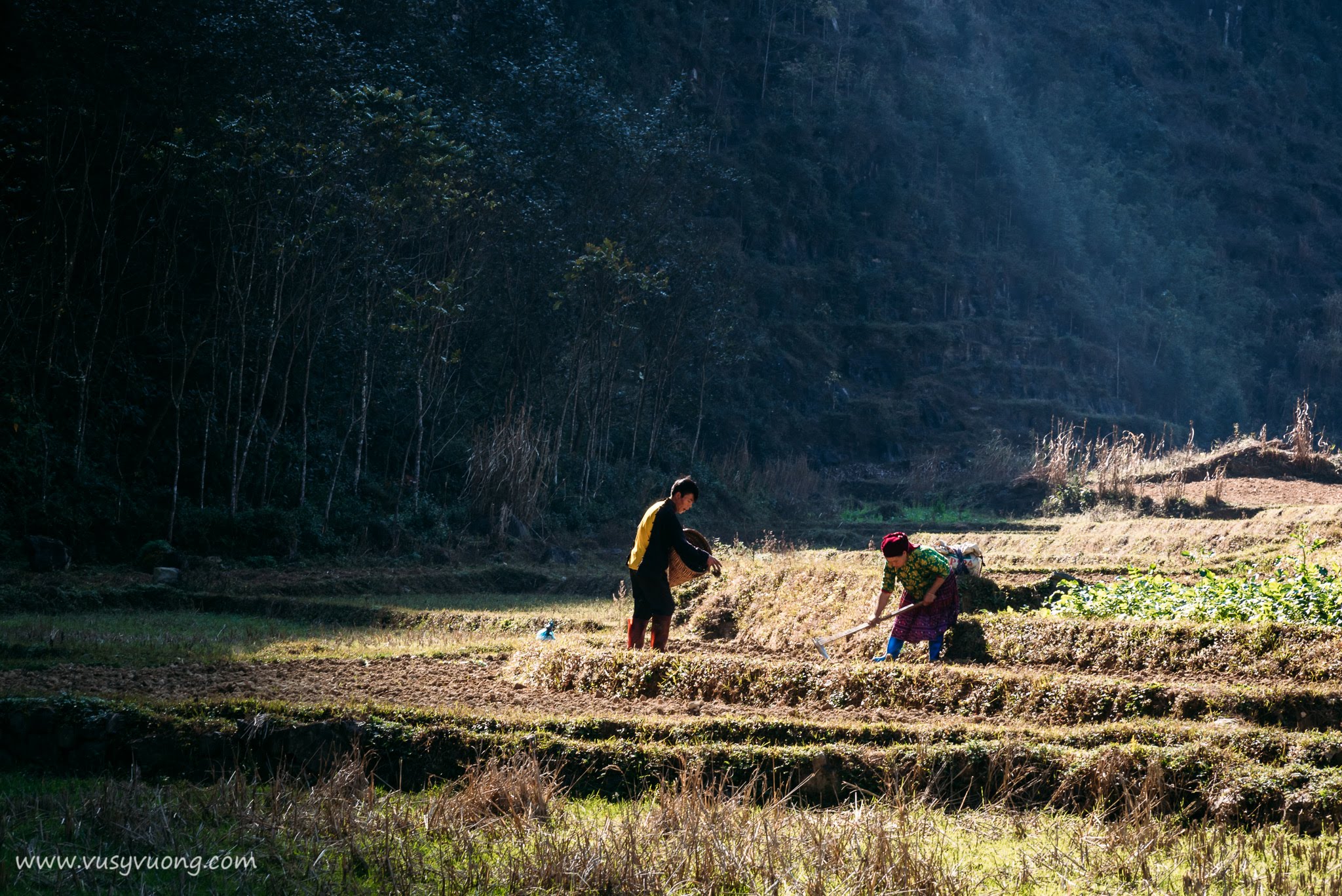 Phố Cáo, Hà Giang