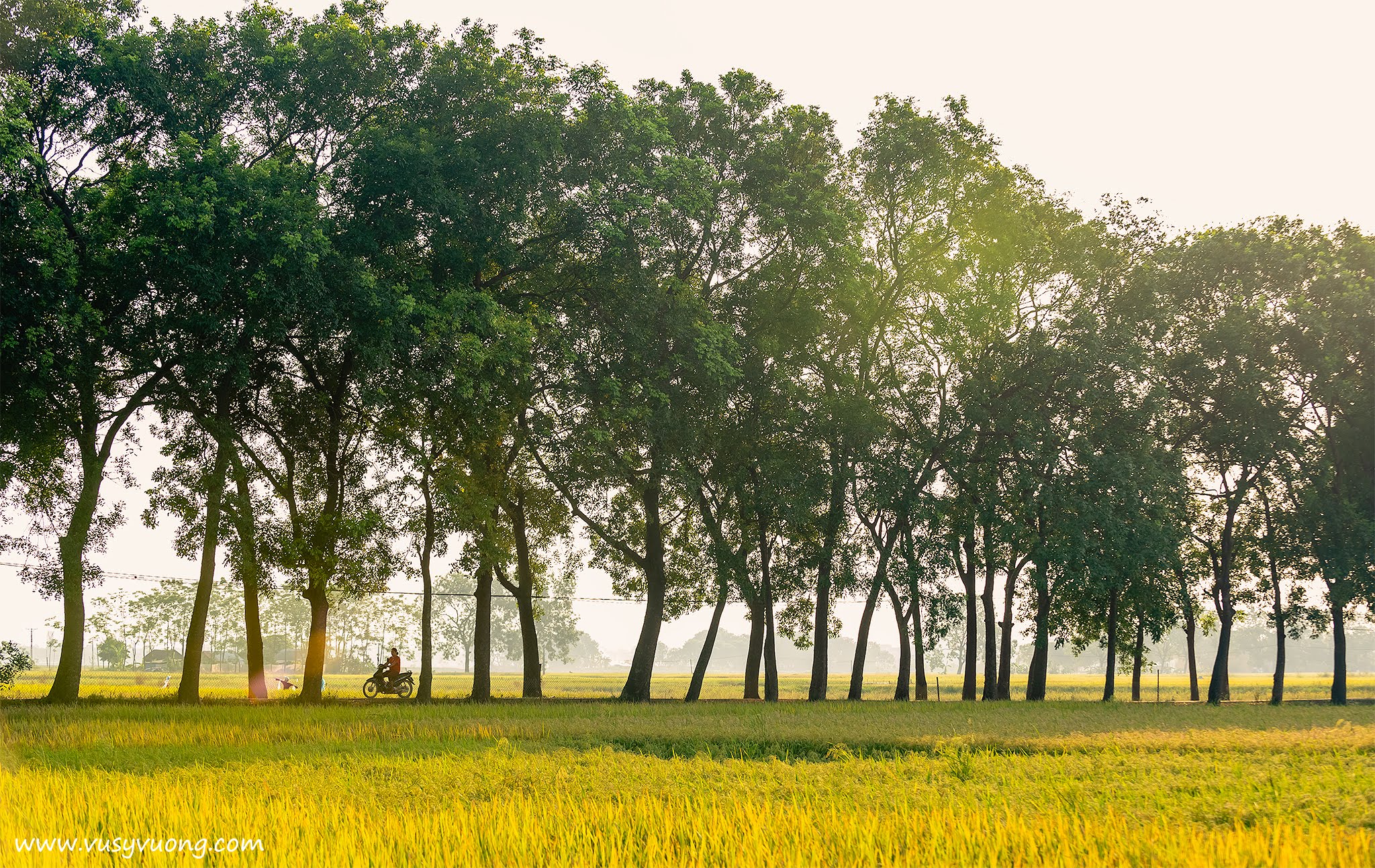 Sài Sơn, Quốc Oai, Hà Nội