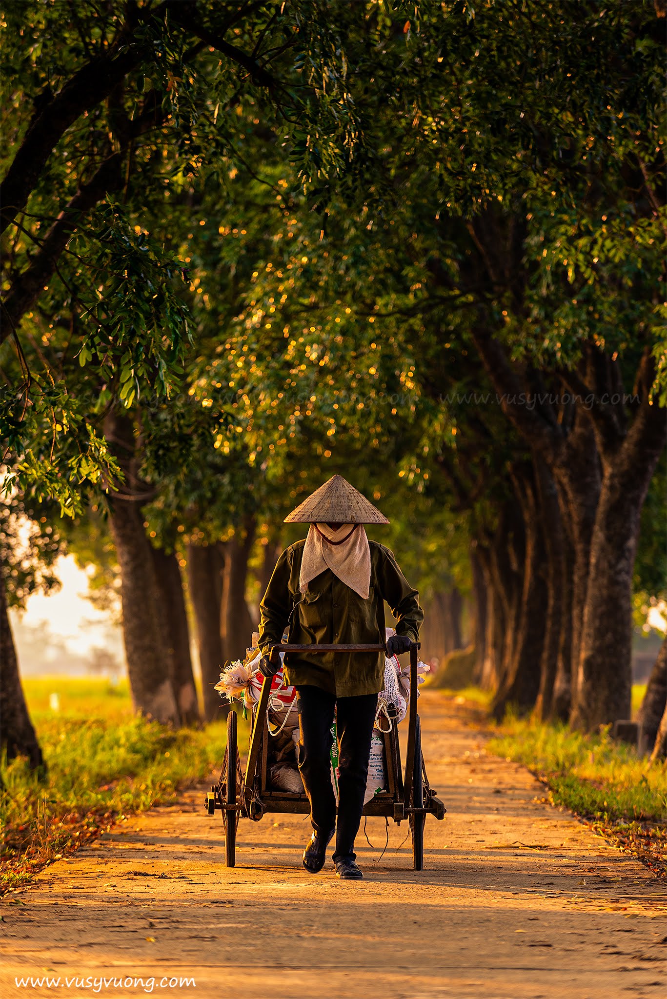 Sài Sơn, Quốc Oai, Hà Nội