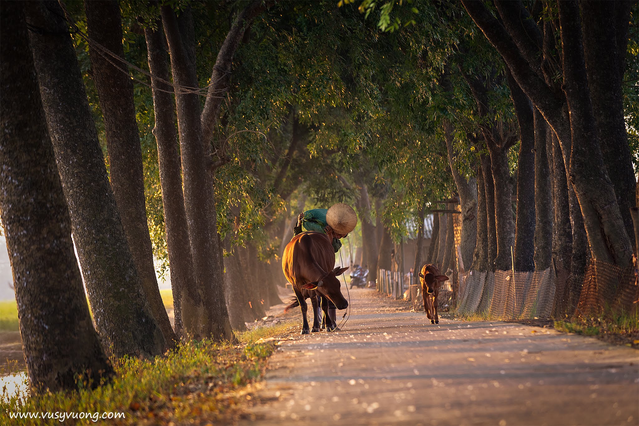 Sài Sơn, Quốc Oai, Hà Nội