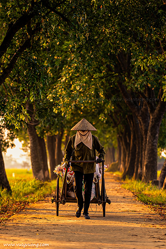 Sài Sơn, Quốc Oai, Hà Nội